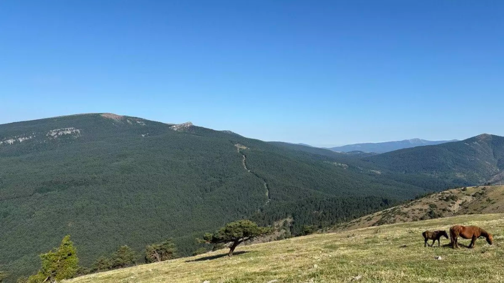 monte quintanar